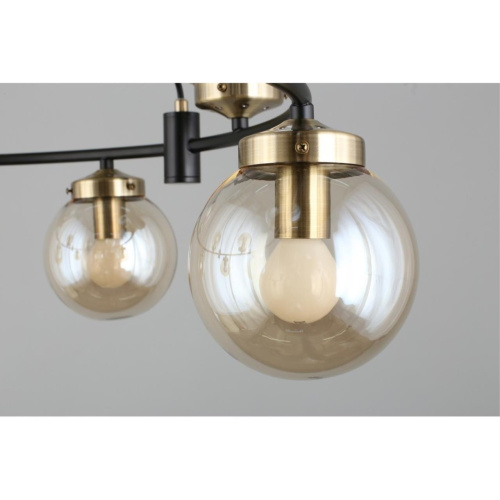 Люстра подвесная OML-94003-10 фото 4 Люстра подвесная OML-94003-10 фото 4