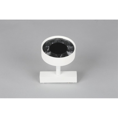 Светильник трековый APL.0119.10.09 фото 14