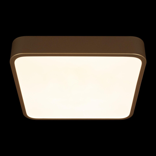 10228/C Потолочный светильник LOFT IT Flims фото 4 10228/C Потолочный светильник LOFT IT Flims фото 4