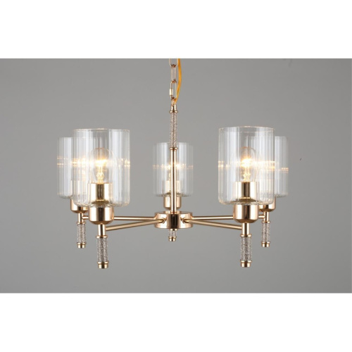 Люстра подвесная OML-66513-05 фото 6