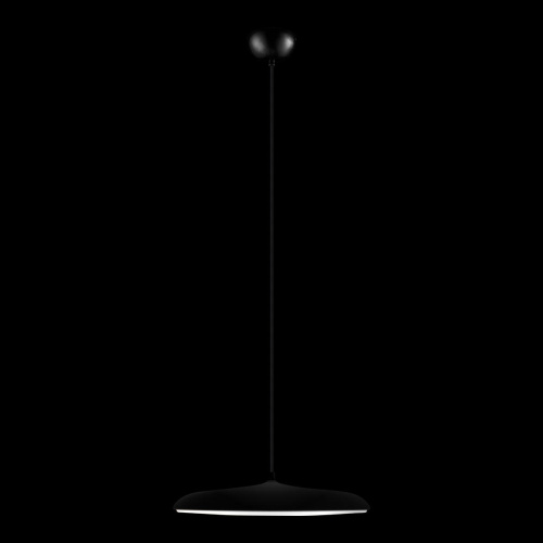 10119 Black Подвесной светильник LOFT IT Plato фото 2 10119 Black Подвесной светильник LOFT IT Plato фото 2