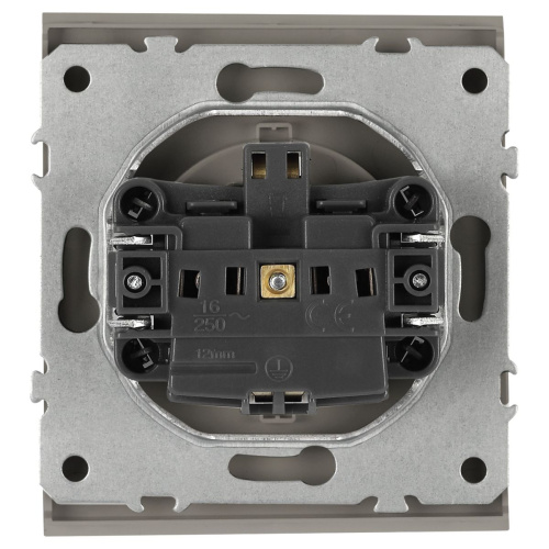 Розетка ЭРА Arktik 16-2103-07 с заземлением 2P+E Schuko со шторками с крышкой 16А-250В титан Б0070440 фото 4