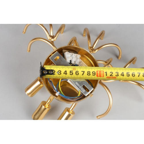 Светильник настенный (Бра) APL.849.01.03 фото 11