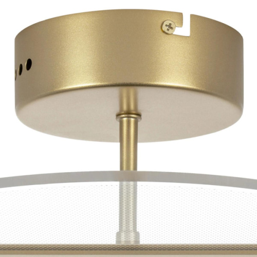 Потолочный светодиодный светильник Lightstar Acrile 738033 фото 3 Потолочный светодиодный светильник Lightstar Acrile 738033 фото 3