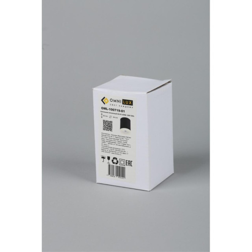 Светильник встраиваемый-накладной OML-100719-01 фото 2