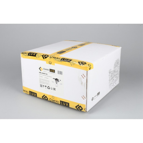 Люстра потолочная OML-25407-03 фото 2