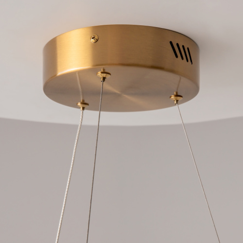 Подвесной светильник Maytoni MOD415PL-L60BS4K фото 5