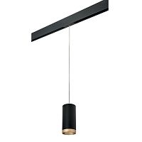 Комплект с трековым светильником Lightstar Rullo (216487+595887+203490) PRORP648790