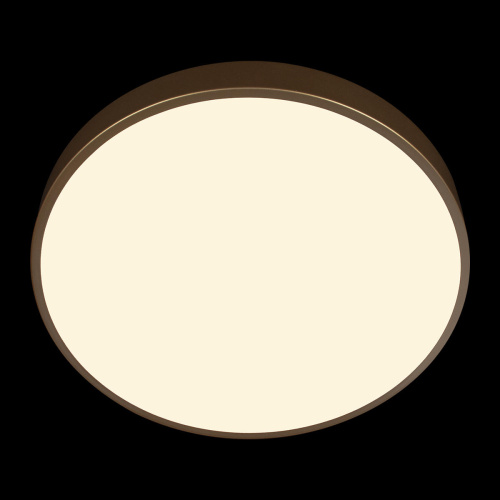 10228/A Потолочный светильник LOFT IT Flims фото 6 10228/A Потолочный светильник LOFT IT Flims фото 6