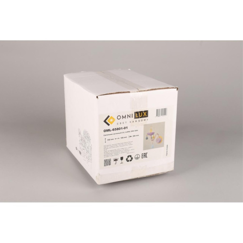 Светильник настенный (Бра) OML-65801-01 фото 2 Светильник настенный (Бра) OML-65801-01 фото 2