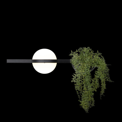 10121W/A Настенный светильник LOFT IT Jardin фото 2