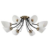 Потолочная люстра Lumion Comfi Eliana 4592/8C