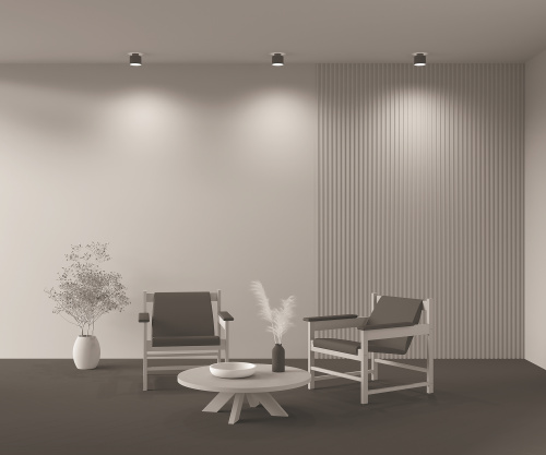 Потолочный светильник Technical C009CW-L12B фото 6