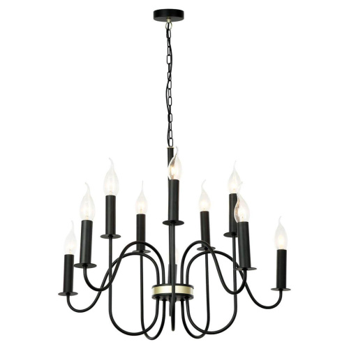 Подвесная люстра Lussole Lgo Roosevelt LSP-8198 Подвесная люстра Lussole Lgo Roosevelt LSP-8198