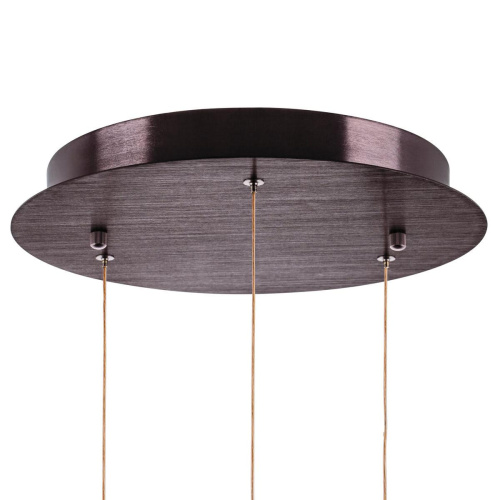 Подвесной светодиодный светильник Lightstar Sferetta 801090 фото 4