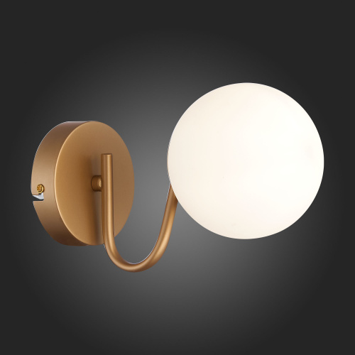 SLE220601-01 Светильник настенный Золотистый/Белый E14 1*40W CALABRIA фото 5