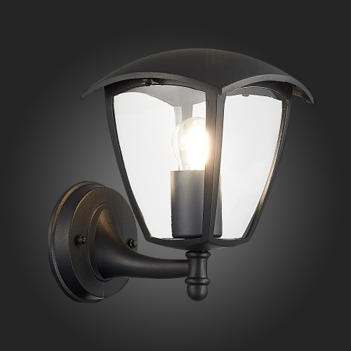 SL081.401.01 Светильник уличный настенный ST-Luce Черный/Черный, Прозрачный E27 1*40W SIVINO фото 9