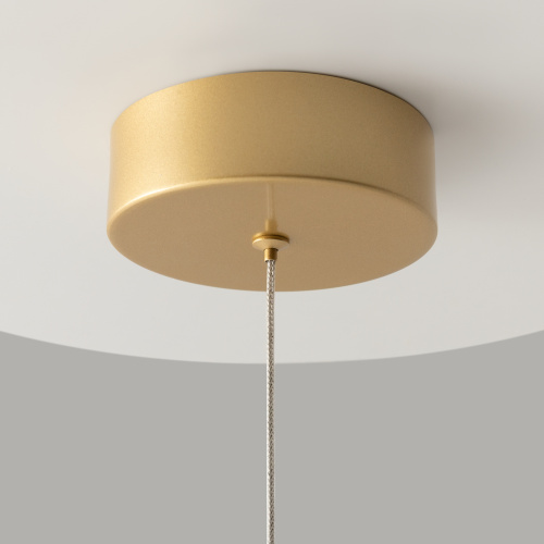 Подвесной светильник Maytoni MOD132PL-L6BSK фото 9