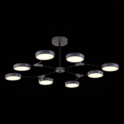 Потолочная светодиодная люстра Evoluce Monta SLE6003-702-08 фото 7