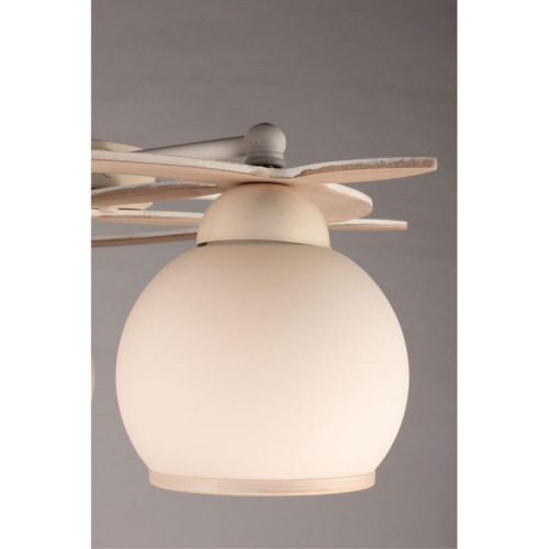 Люстра потолочная OML-50517-05 фото 5