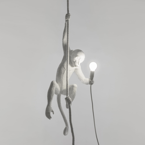 Подвесной светильник Monkey Lamp Ceiling фото 10