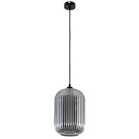 Подвесной светильник Arte Lamp Arwen A1903SP-1BK