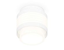 Комплект накладного светильника Ambrella light Techno Spot XS (C8431, N8401) XS8431001