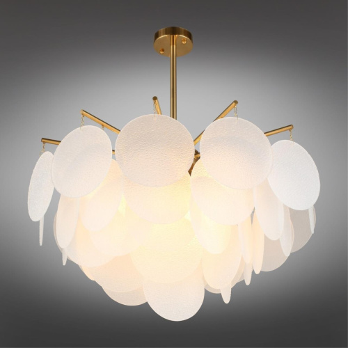 Люстра потолочная OML-67407-06 фото 3