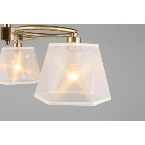 Люстра потолочная OML-65017-03 фото 7