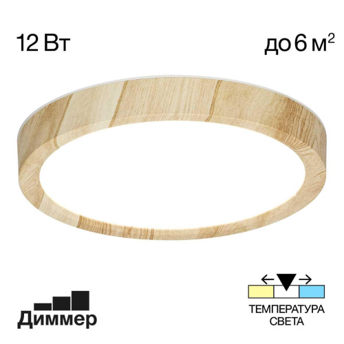 Светильник накладной Citilux Бейсик CL738122N
