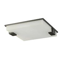 Потолочный светильник 8212C/500 black/white