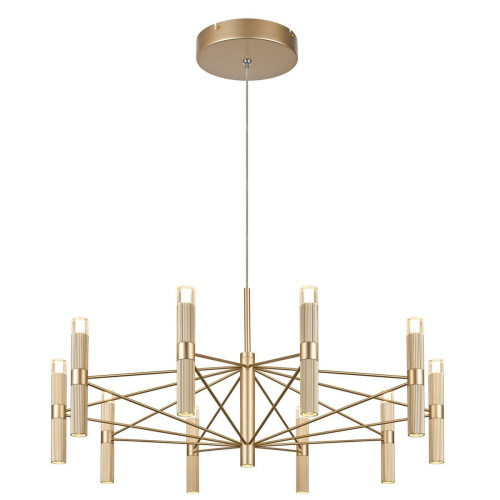 Подвесная светодиодная люстра Favourite Blick 4759-10P