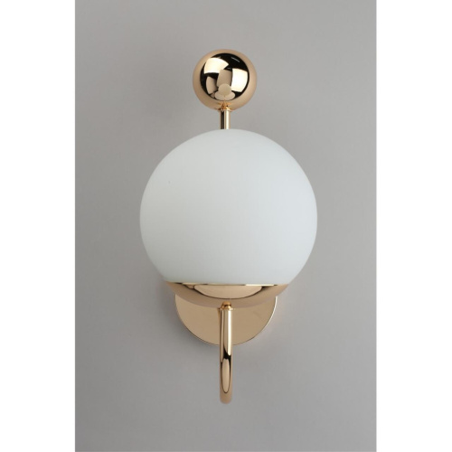 Светильник настенный (Бра) OML-67001-01 фото 4