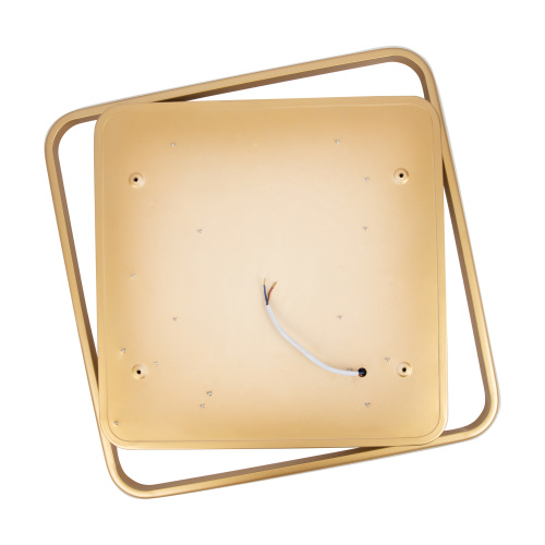 Потолочный светильник Freya FR10026CL-L93G фото 17 Потолочный светильник Freya FR10026CL-L93G фото 17