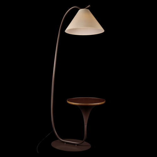 10568F Brown Торшер LOFT IT Charlotte фото 4
