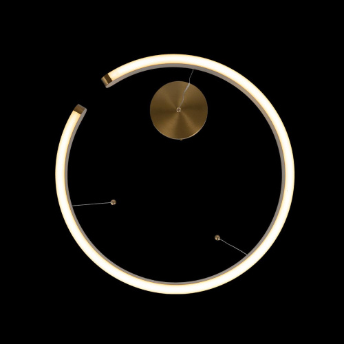 10013L Подвесной светильник LOFT IT Ring фото 3 10013L Подвесной светильник LOFT IT Ring фото 3