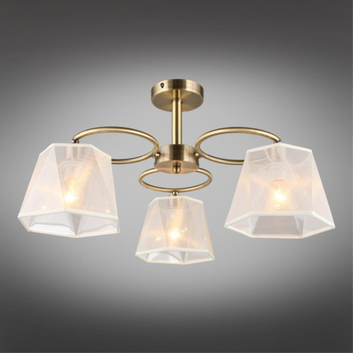 Люстра потолочная OML-65017-03 фото 8