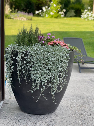 Кашпо UPON SAHARA фото 4