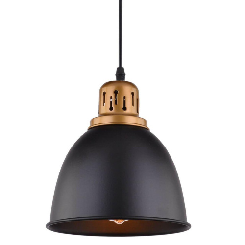 Подвесной светильник Arte Lamp Eurica A4245SP-1BK фото 2