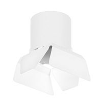 Комплект с потолочным светильником Lightstar Rullo (213486+202486) R3486486