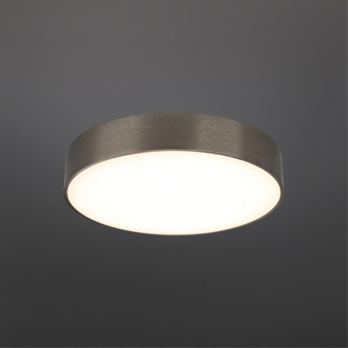 Светильник настенно-потолочный APL.0114.19.24 фото 3 Светильник настенно-потолочный APL.0114.19.24 фото 3