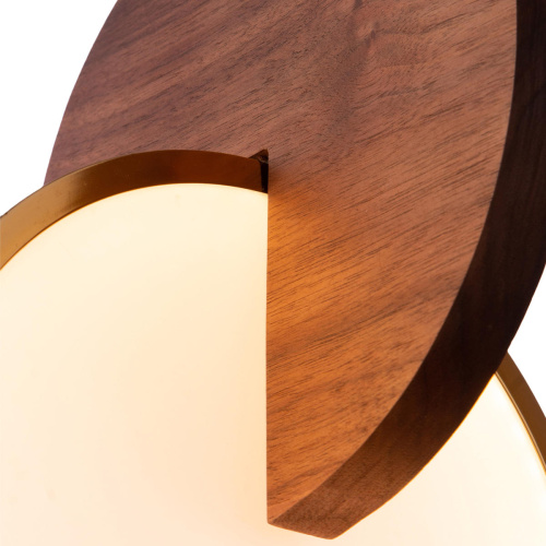 9970C Подвесной светильник LOFT IT Eclipse фото 3