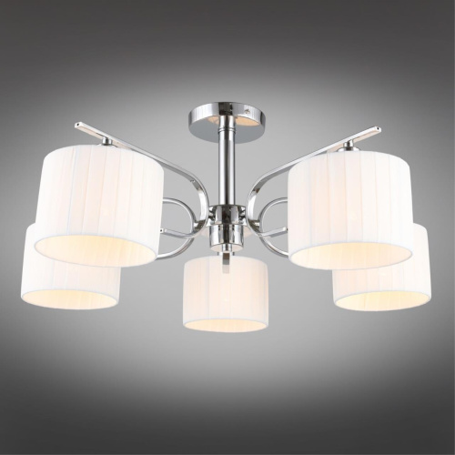 Люстра потолочная OML-34207-05 фото 4