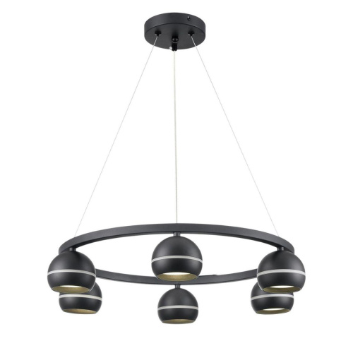Подвесная люстра Lumion Comfi Luazana 8242/6 фото 2