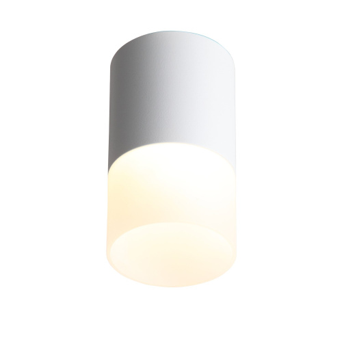 ST100.502.10 Светильник потолочный Белый LED 1*10W 3000K 780Lm Ra>80 120° D78xH135 170-240V Накладные светильники фото 5