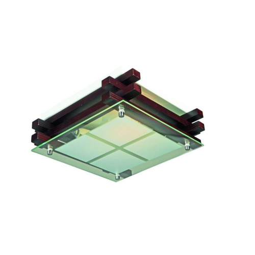 Светильник настенно-потолочный OML-40507-02 Светильник настенно-потолочный OML-40507-02