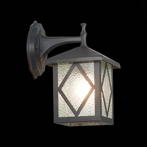 SL084.411.01 Светильник уличный настенный ST-Luce Черный/Черный, Прозрачный E27 1*60W LORNE фото 2