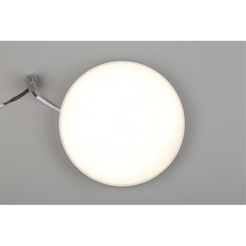 Светильник настенно-потолочный APL.0113.09.24 фото 7