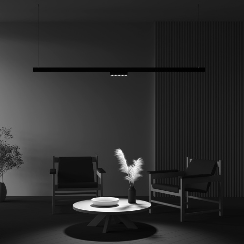 Трековый светильник Technical TR033-2-12W4K-B фото 2