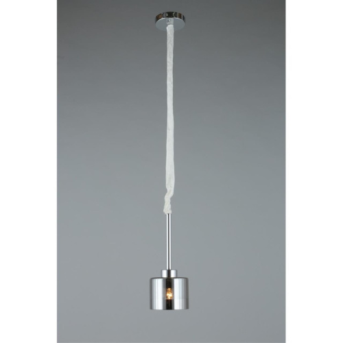 Светильник подвесной OML-55806-01 фото 4